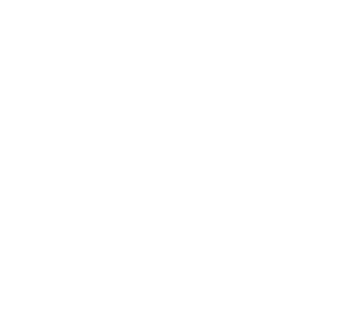 Sari Logo